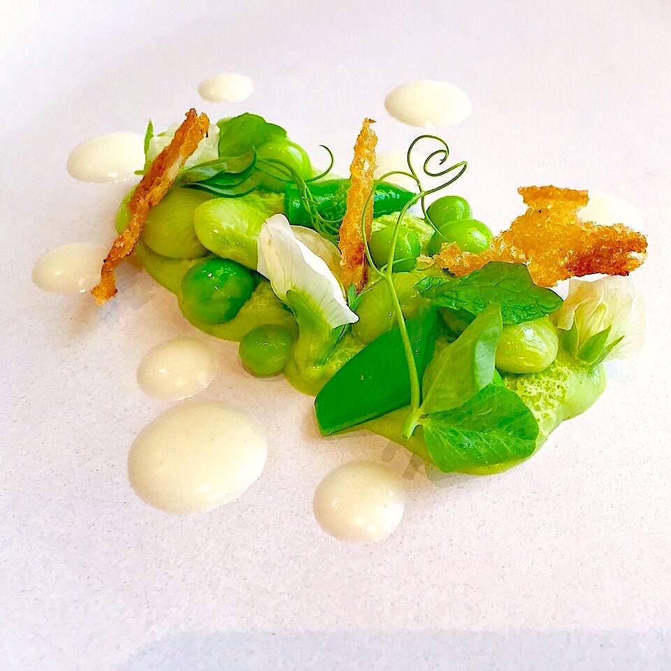 Best Mint and Pea Panna Cotta Recipe with Coconut Salt & Vanilla