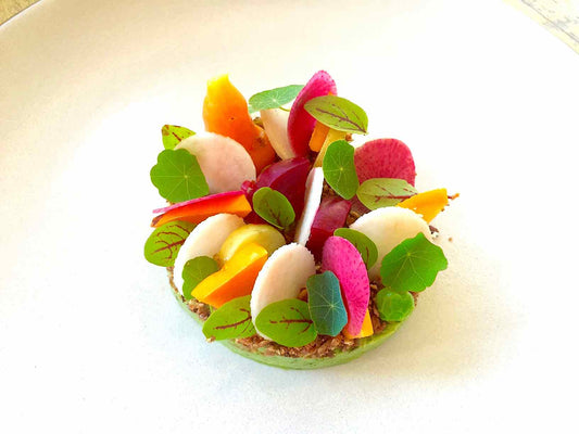 Best Raw Jicama Salad, Avocado, Radish
