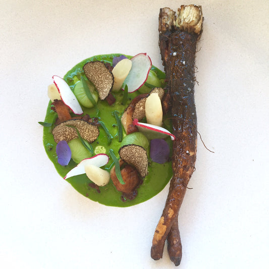 Salsify, Roasted, Confit, with Tops, with Black Truffle